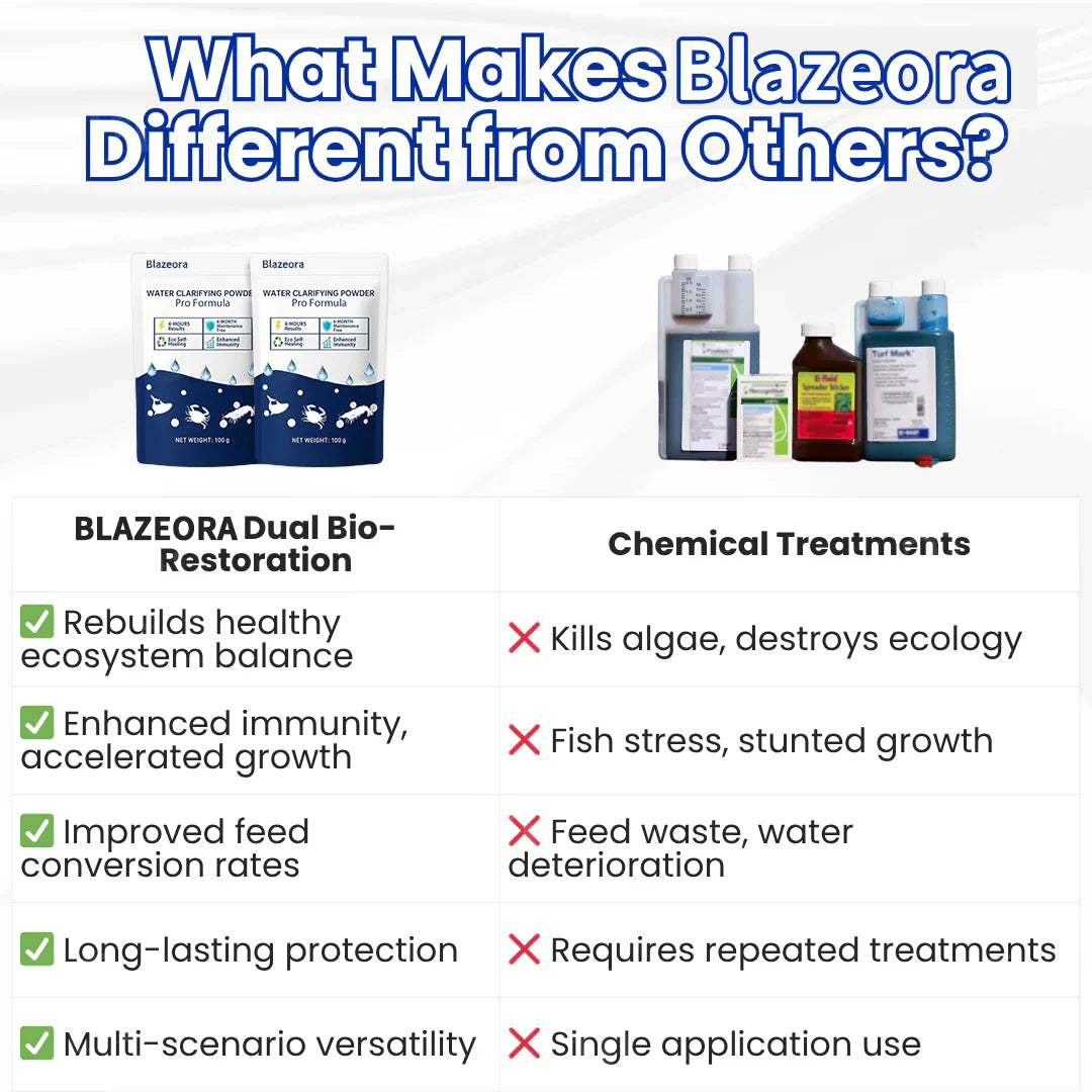 🌟 Official Store |⏱️ Crystal Clear in 24 Hours! | Blazeora Water Clarifying Powder