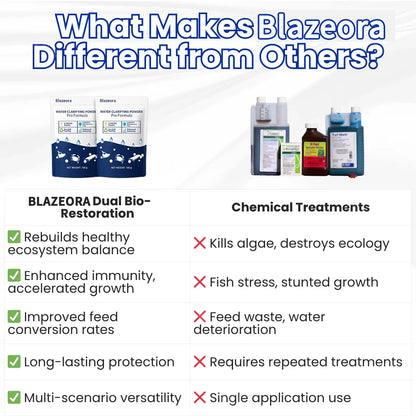 🌟 Official Store |⏱️ Crystal Clear in 24 Hours! | Blazeora Water Clarifying Powder